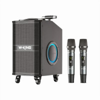Беспроводная Колонка W-King K21SE