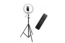 Кольцевая Лампа AL330 с Пультом (33 см) Кольцевая Лампа AL330 с Пультом (33 см)