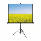Экран для проектора ANC Tripod Screen T240X240 Экран для проектора ANC Tripod Screen T240X240