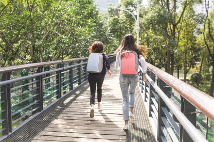 Bobby Compact (Pastel Blue)