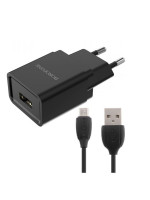 Зарядное устройство Borofone BA19A