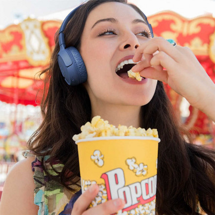 Беспроводные наушники JBL Tune 500BT