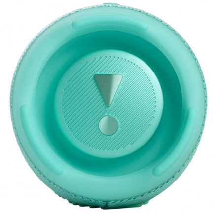 Портативная колонка JBL Charge 5 Tea