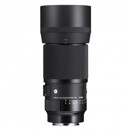 Объектив Sigma 28-105mm f/2.8 DG DN ART SONY E