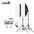 Софтбокс "BobbyStudio Light" 50x70 (2шт) + Умная Лампа 150w + Пульт