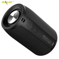 Беспроводная колонка Zealot S32